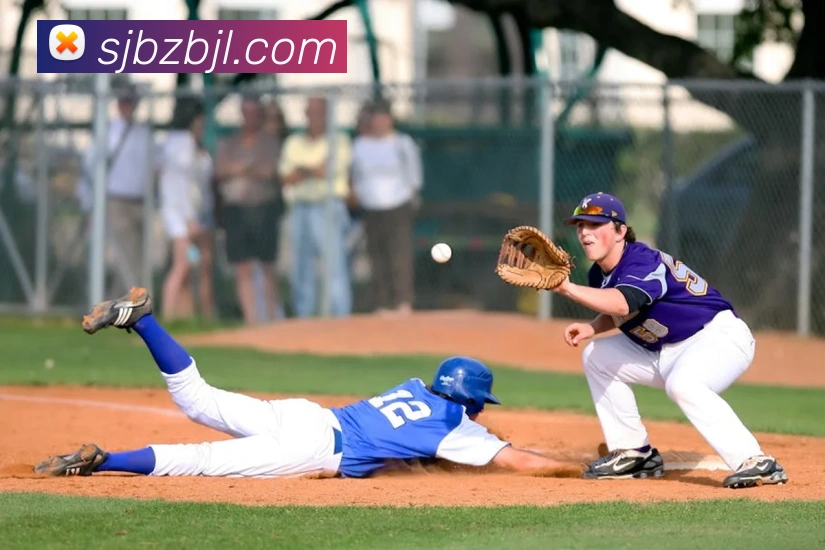 百家乐网站发展历程